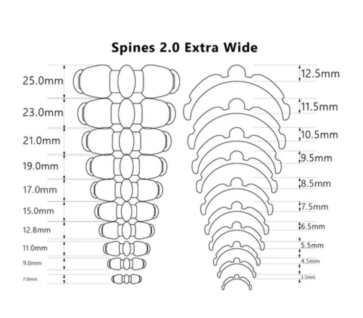 SPINE 2.0 WIDE
