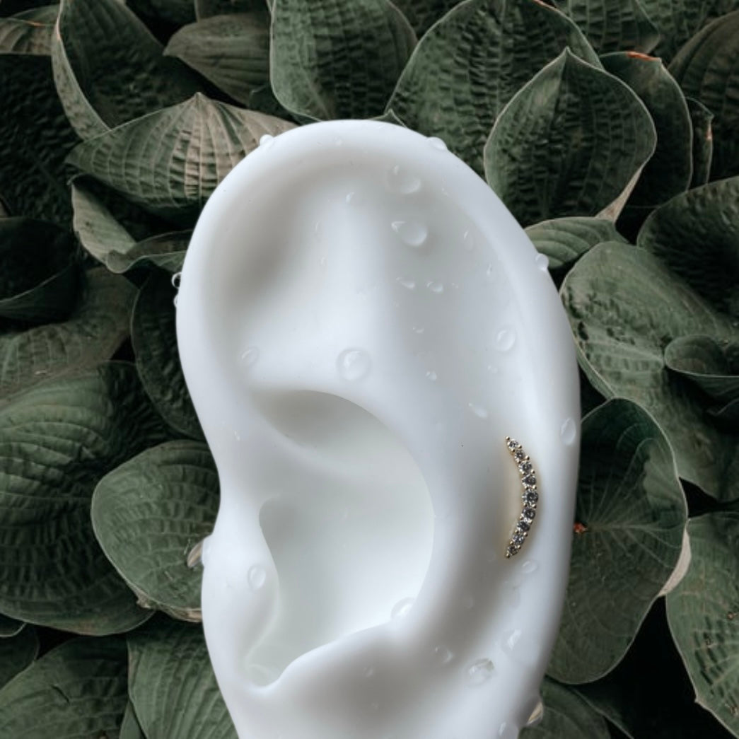 LÍNEA CURVA PAVIMENTADA 14KT