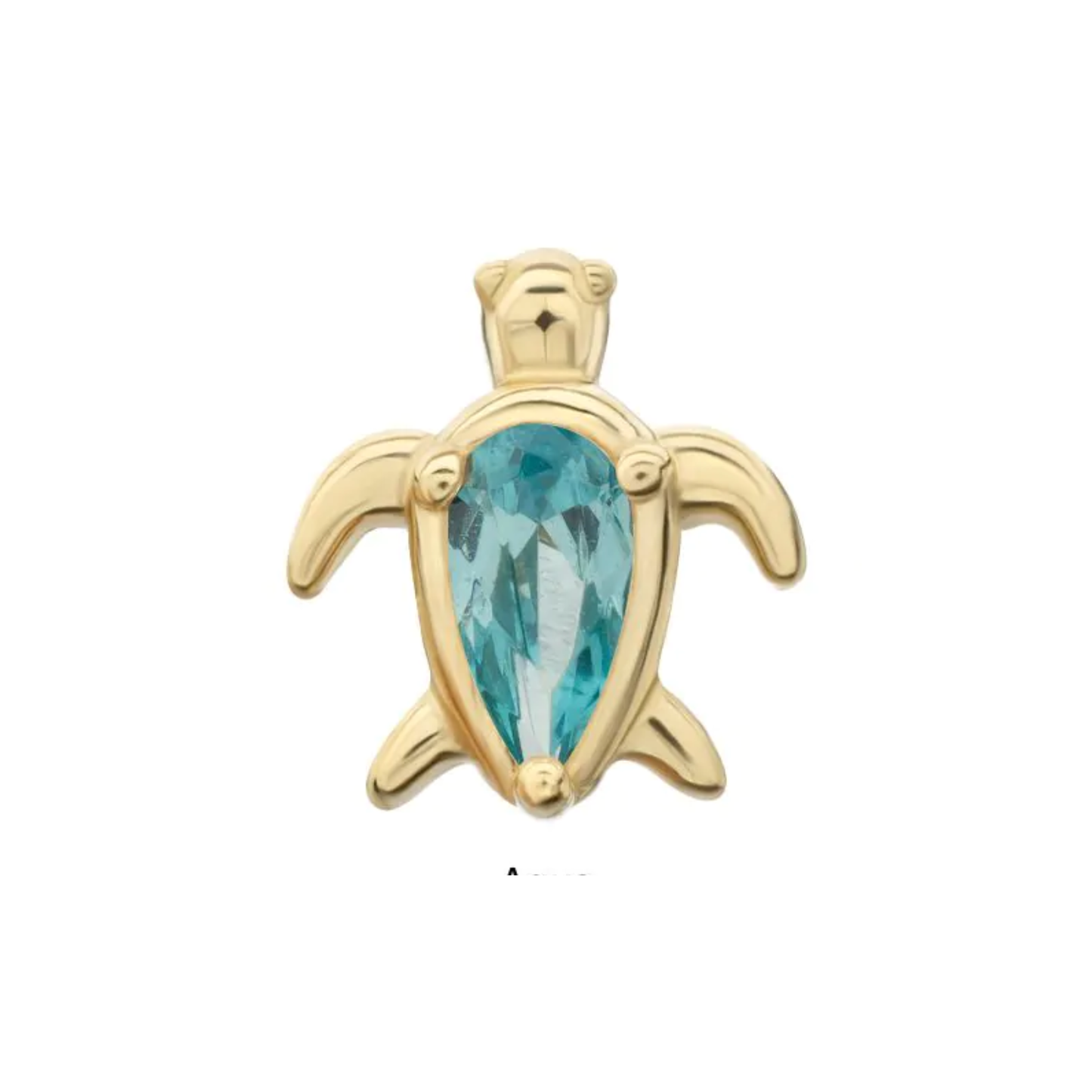TORTUE