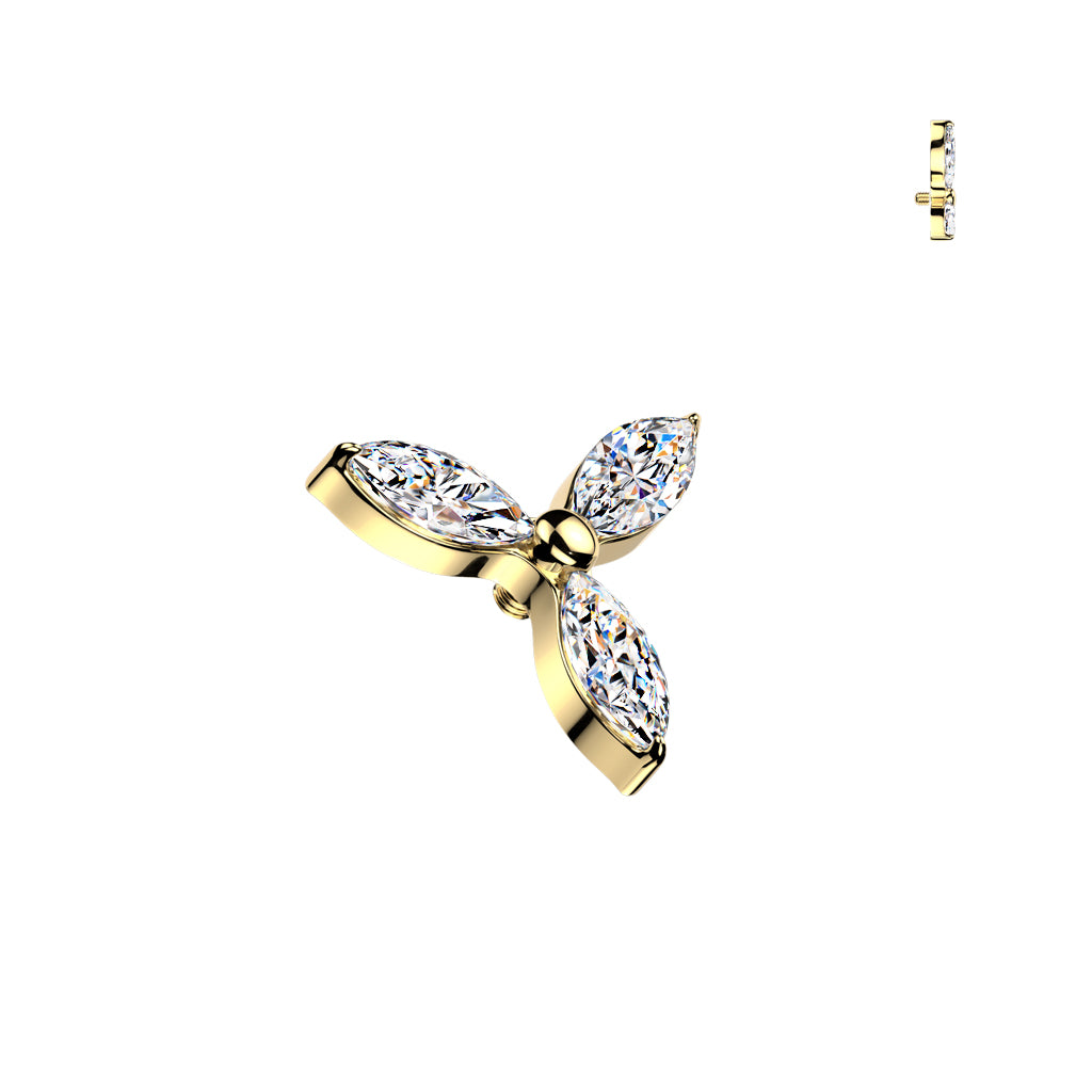 DERMAL TOP