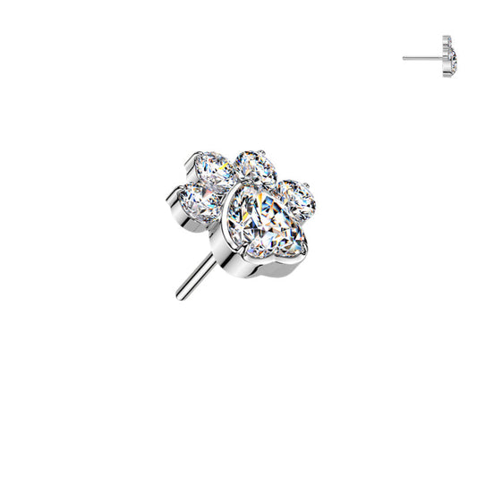 PAW